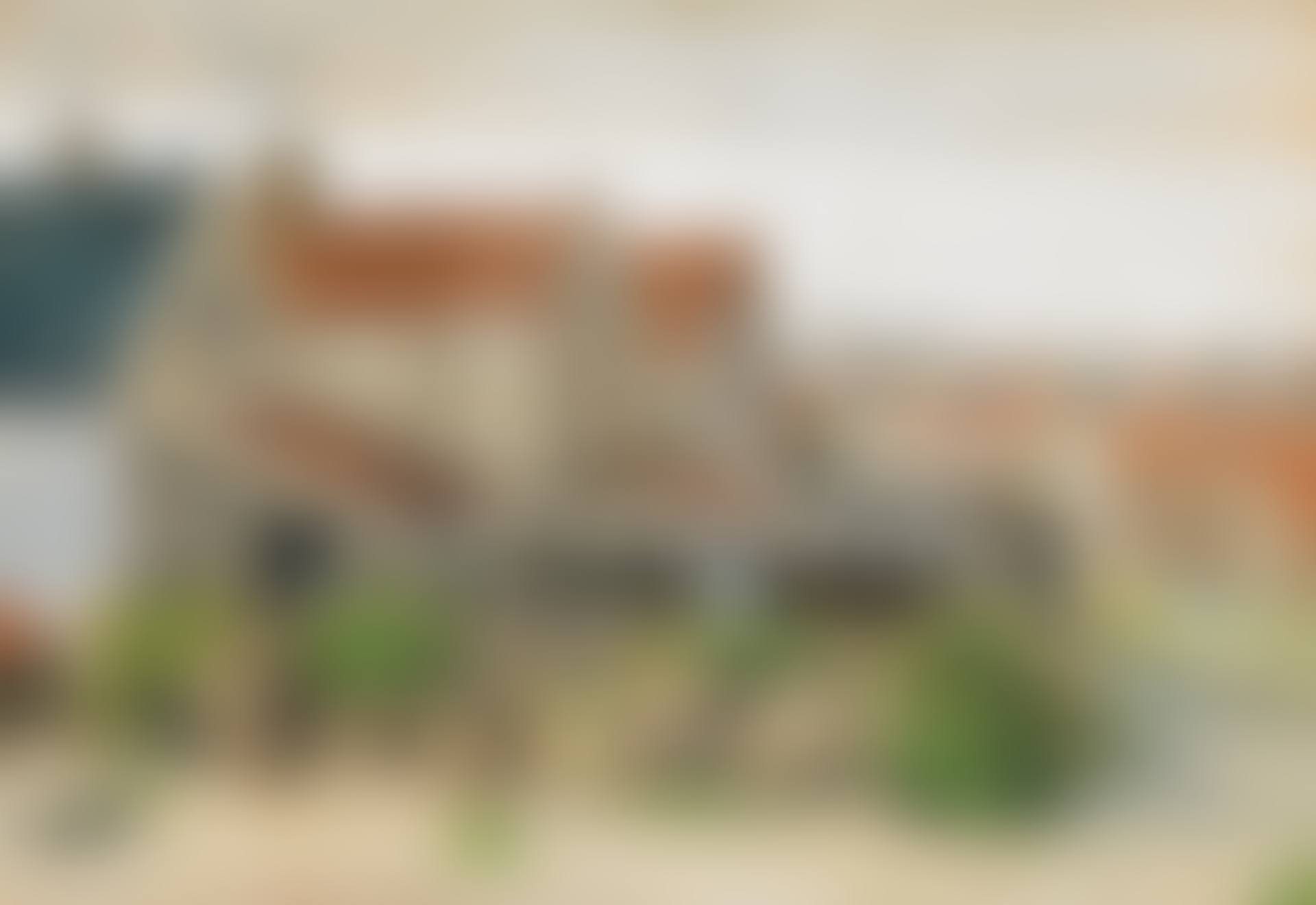 LA DROGUERIE DE LIMANDES, SCHEVENINGEN (preview)
