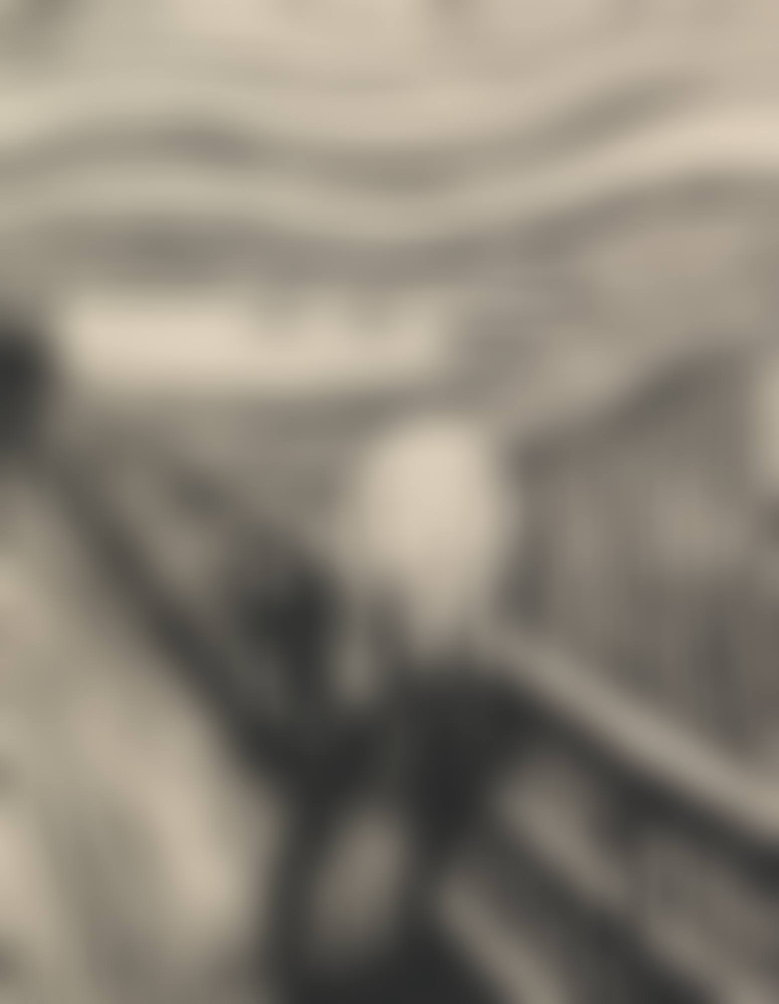 GESCHREI (THE SCREAM) (WOLL 38; SCHIEFLER 32) (preview)