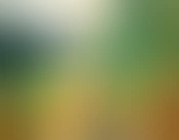 Goa Landscape (preview)