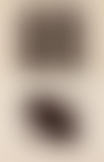 L 1976-22. H 6 (preview)