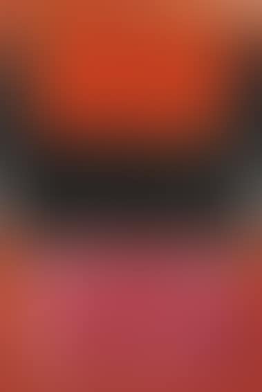 NO. 21 (RED, BROWN, BLACK AND ORANGE) (preview)