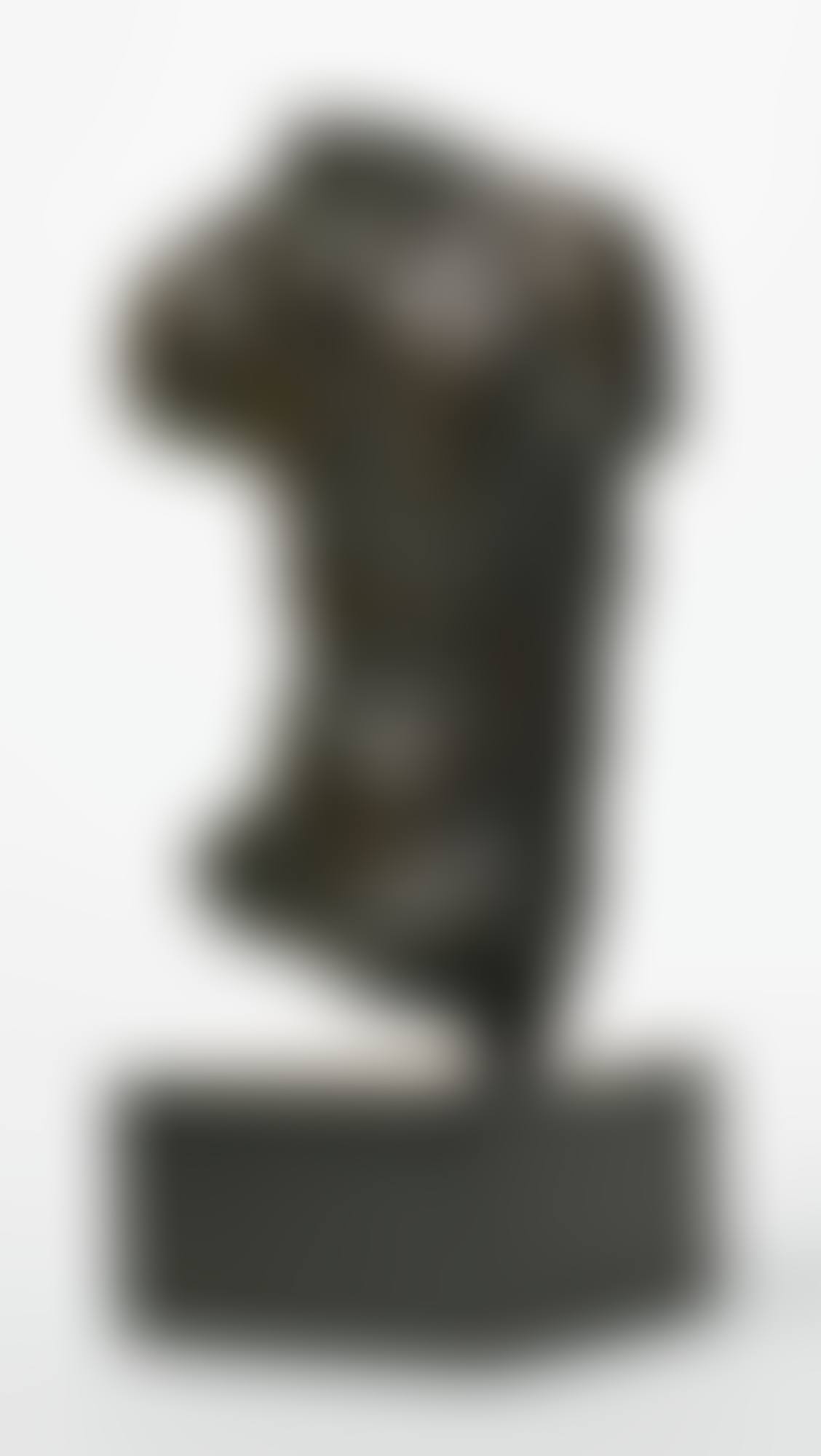 TORSE MASCULIN DIT AUSSI TORSE NO. 748 (preview)