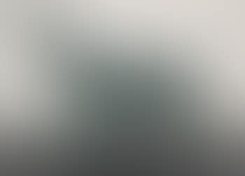 Lévrier afghan (preview)