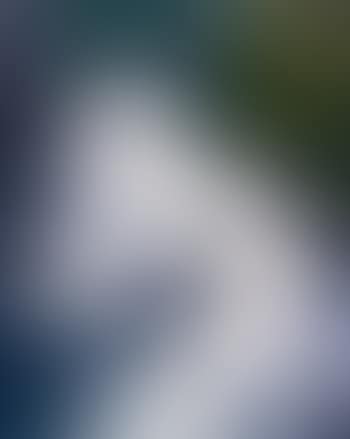 Untitled (Waterfall) (preview)