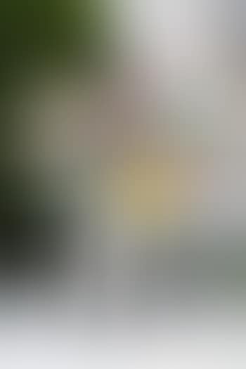 Grand Tournesol (La Fleur Polychrome) (preview)