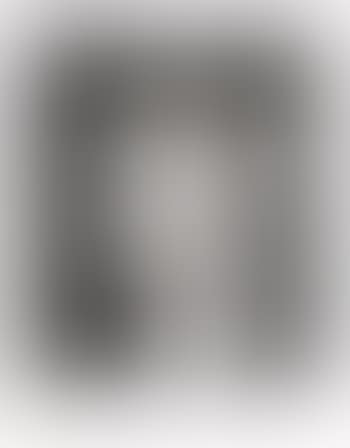 Untitled (President Clinton Profile) (preview)