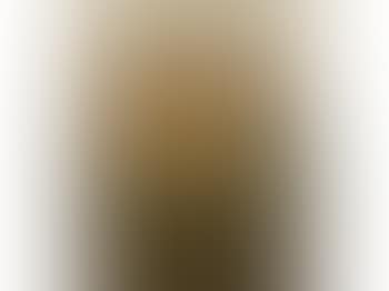 A view of a London town house (preview)