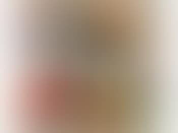 Abstract linear study (preview)