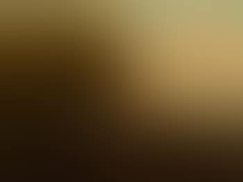 Partridge (preview)
