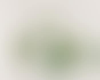 Still Life, Pears (preview)