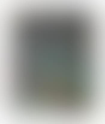 Untitled (preview)