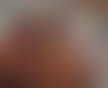 Still Life with Apples (preview)