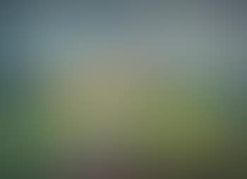 View of Dalât (preview)