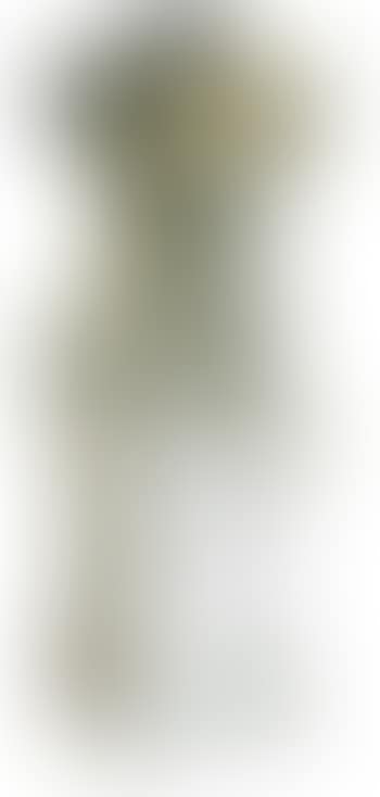 Classical Torso (preview)