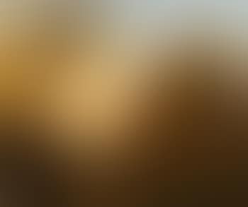 Paysage (preview)