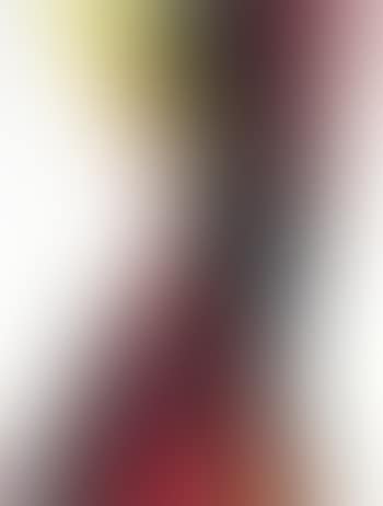 Phenomena for Salomé (preview)