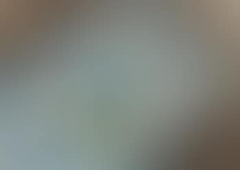 Nature morte (preview)
