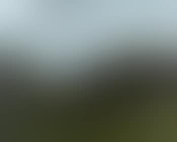 Snowdon (preview)