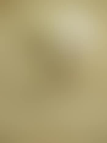 Autoportrait (preview)