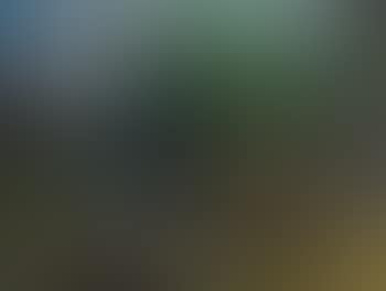 Bachlandschaft (preview)