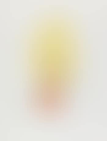 Soleil (Helianthus Solifer) Sonnenblume (preview)