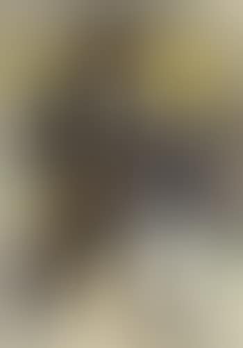 Untitled (preview)