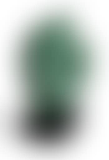 Singing Head (preview)