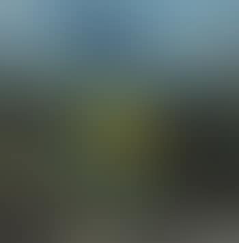Landscape (preview)
