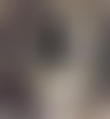 Owl (preview)