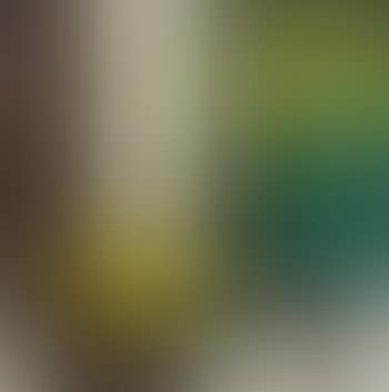 Still Life (preview)