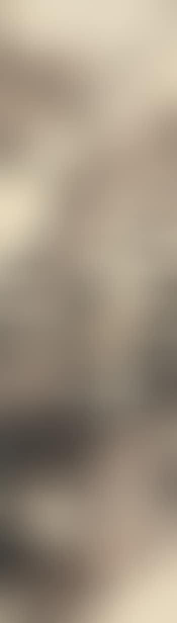 Landscape After Shitao (preview)