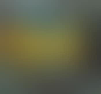 Autumn Forests (preview)