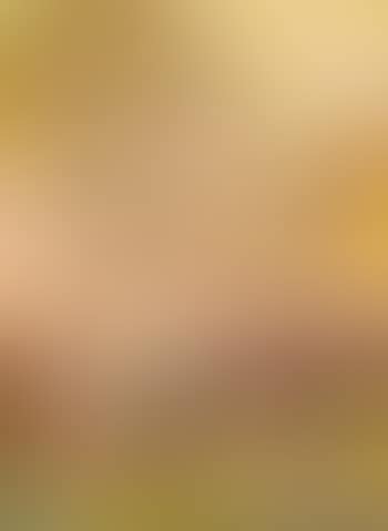 Composition XIX (preview)