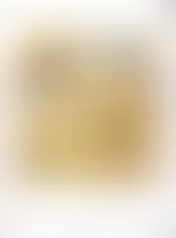 Le dragon (preview)