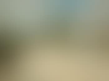 Paysage (preview)