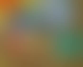 Untitled (Color Wheel) (preview)