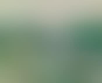 Springtime Landscape (preview)