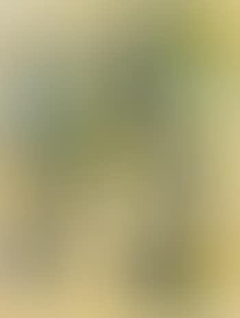 Baigneuse (preview)