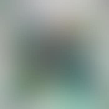 Torch (preview)