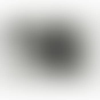 Untitled, from Harvey Gantt Portfolio (preview)