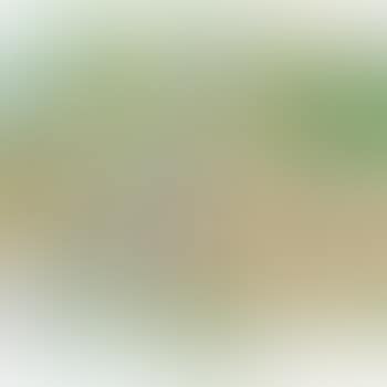 Green On Green Collage Painting (preview)
