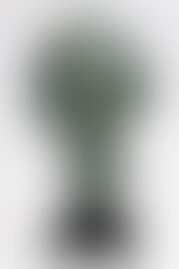 Einstein (preview)