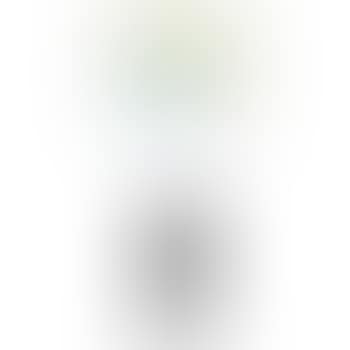 Holograph (preview)