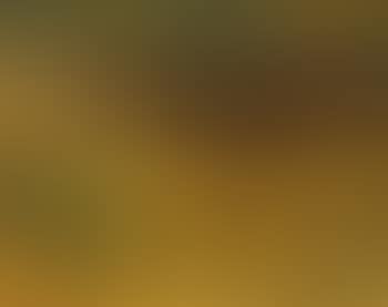 Landscape (preview)