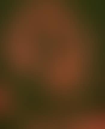 Soliman (preview)