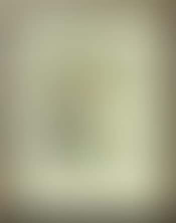 Babylone d'Allemagne (preview)