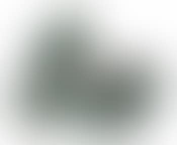 Drake (preview)