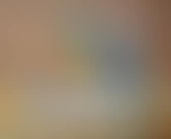 Nature morte aux fruits (preview)
