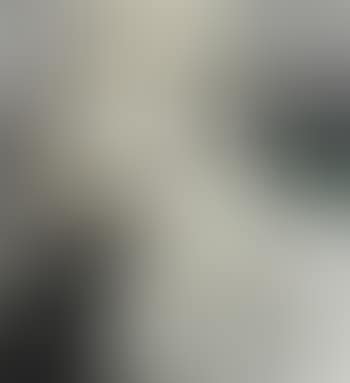 Study for still life with dossier (preview)