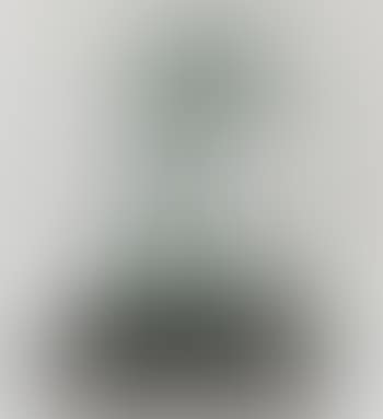 Winged Triton (Descharnes 411) (preview)